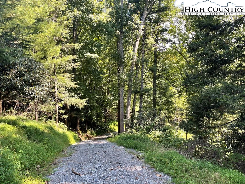 Image number 11 for the current listing