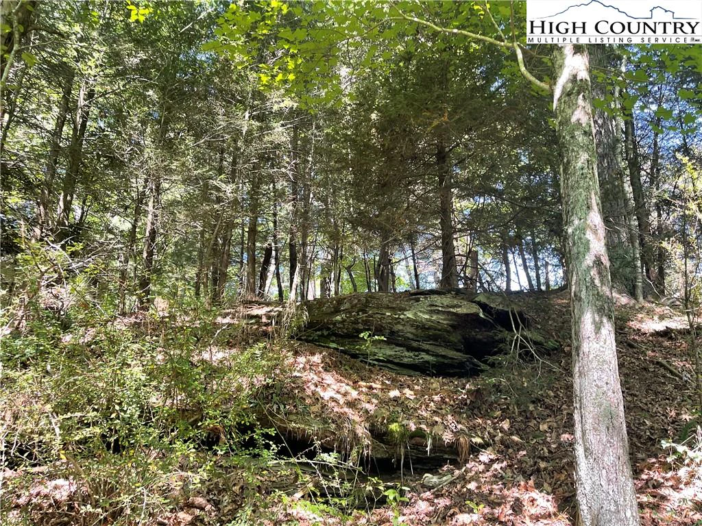 Image number 9 for the current listing