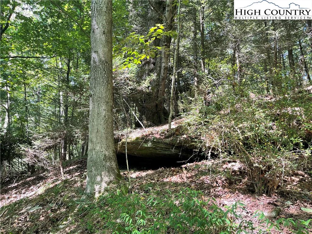 Image number 8 for the current listing