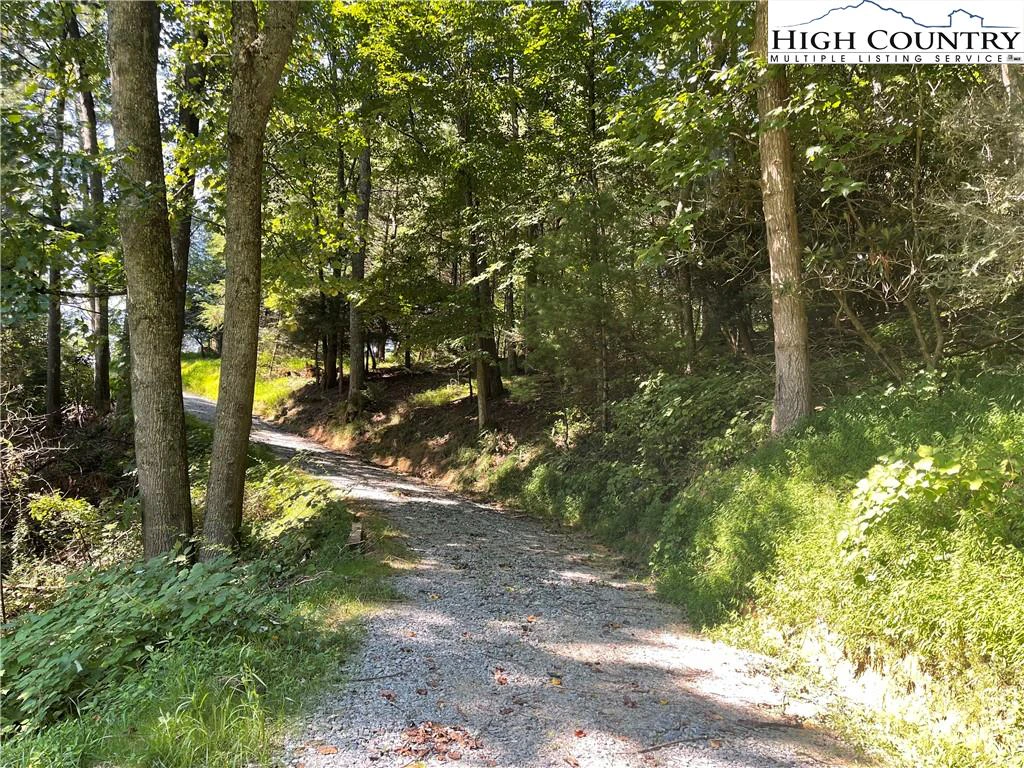 Image number 6 for the current listing