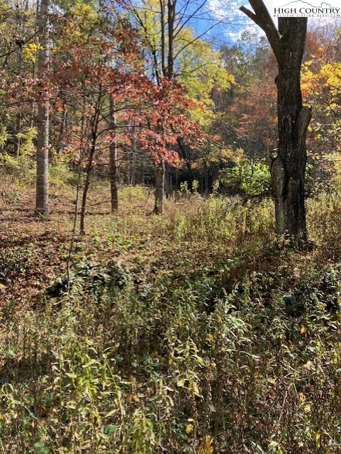 Image number 1 for the current listing