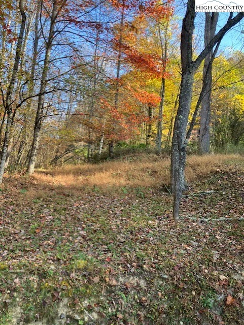Image number 4 for the current listing