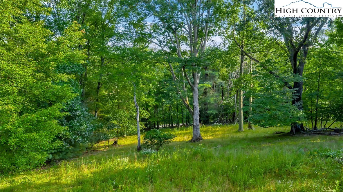 Image number 1 for the current listing