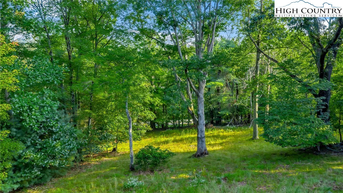 Image number 8 for the current listing