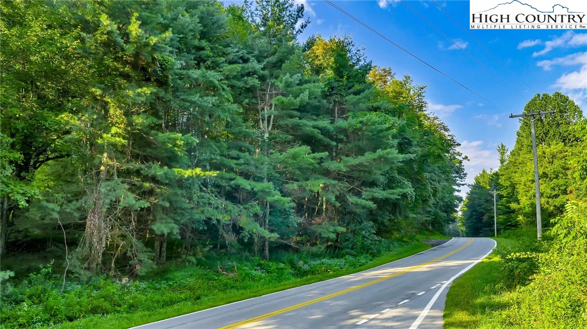 Image number 5 for the current listing