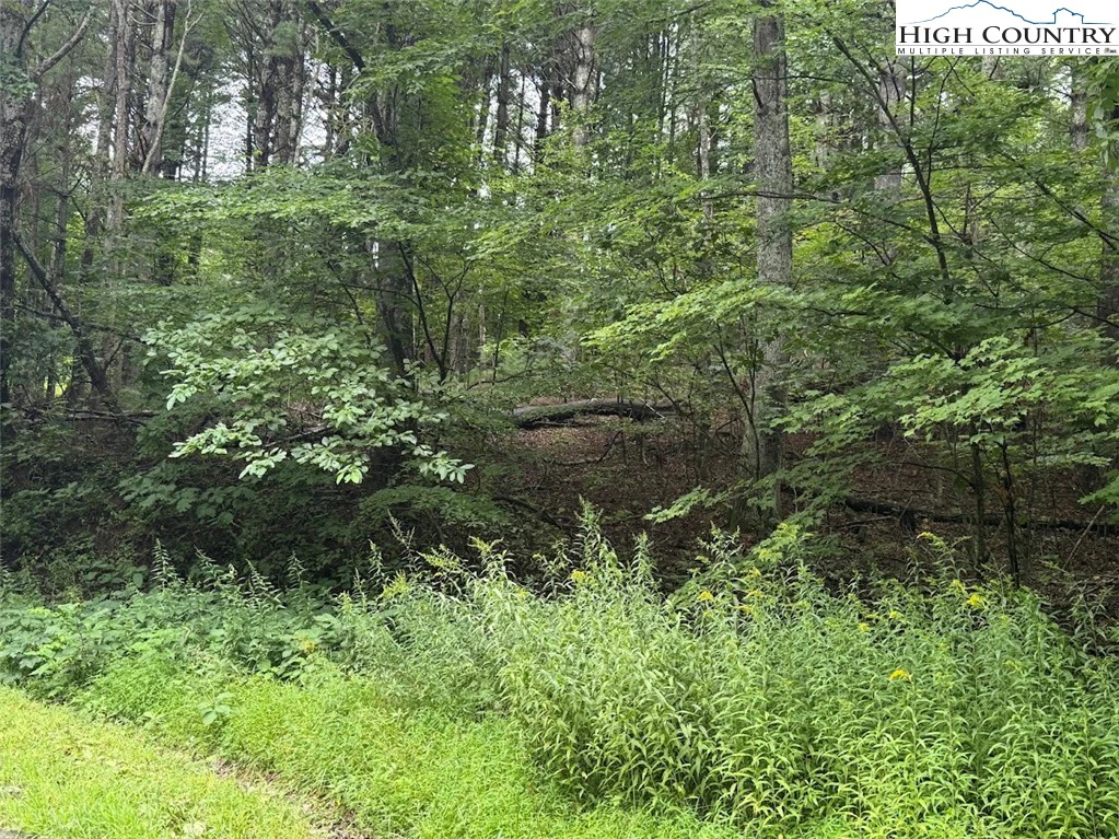 Image number 3 for the current listing