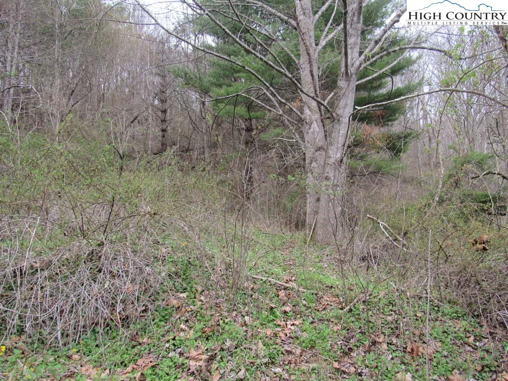 Image number 1 for the current listing