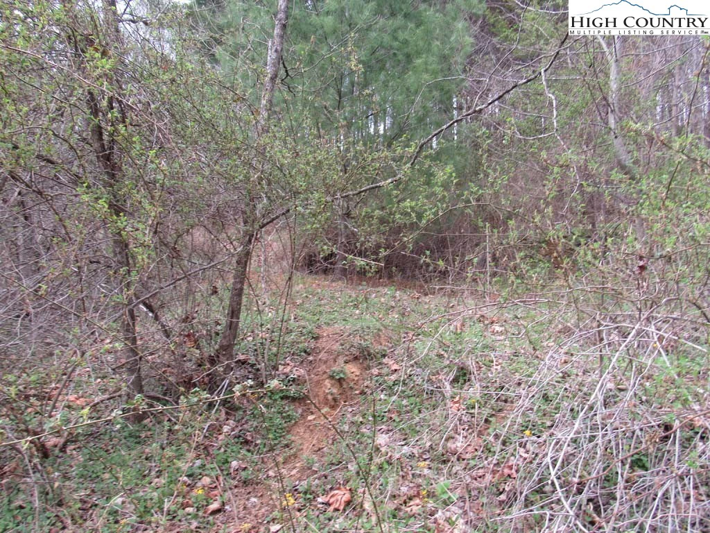 Image number 3 for the current listing