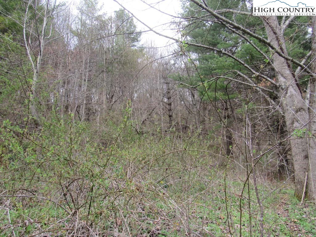 Image number 4 for the current listing