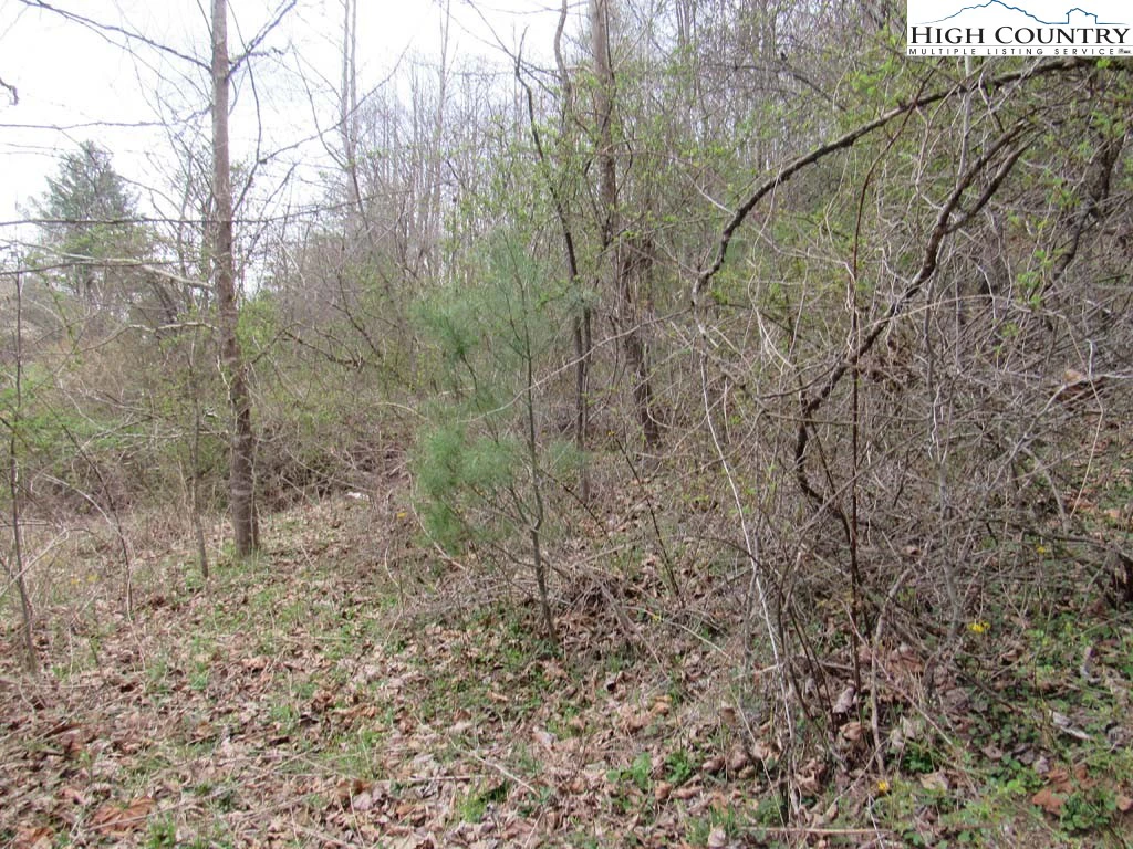 Image number 5 for the current listing