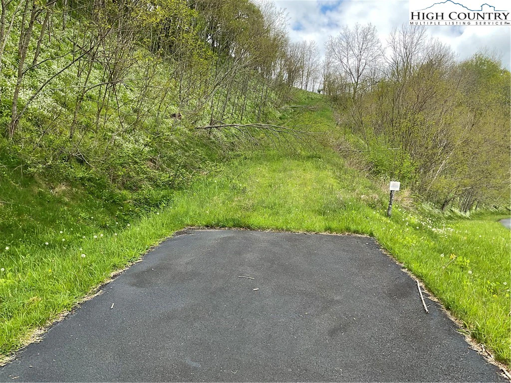 Image number 4 for the current listing