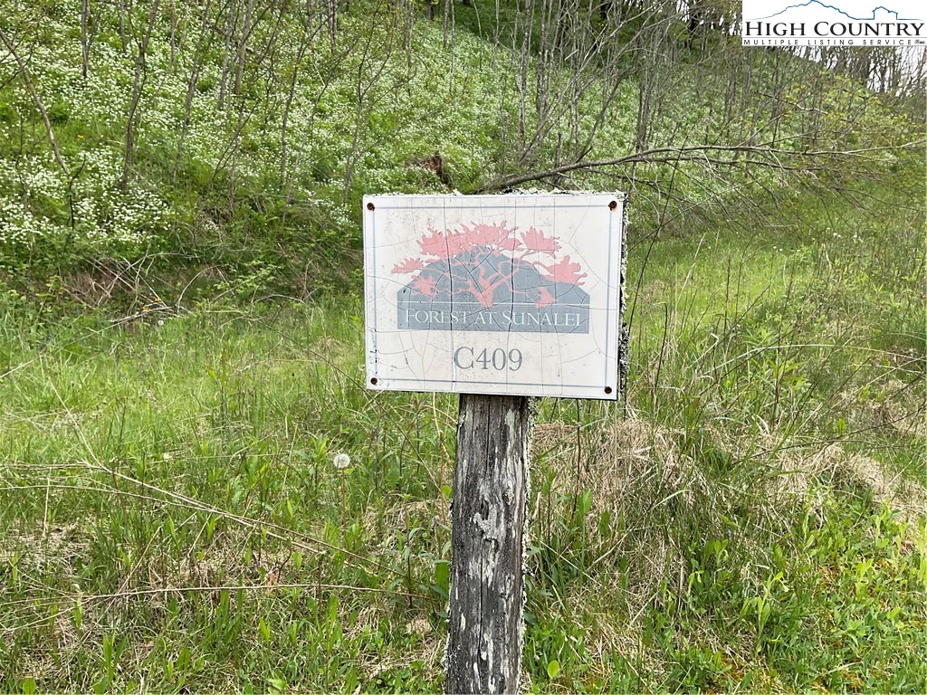 Image number 3 for the current listing