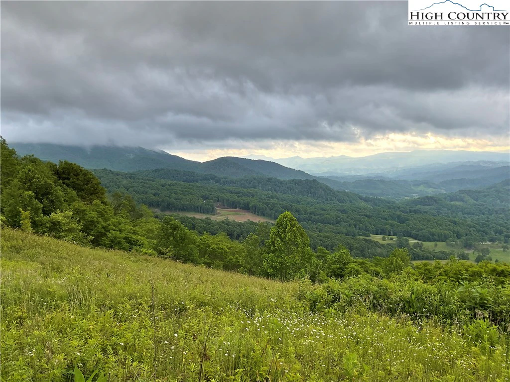 Image number 1 for the current listing