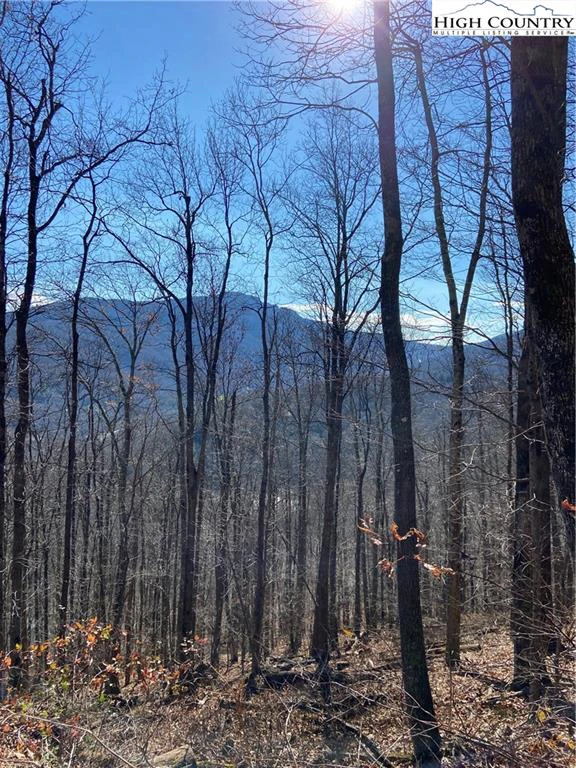 Image number 1 for the current listing