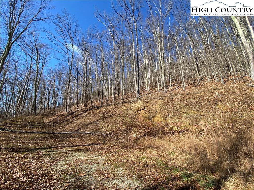 Image number 3 for the current listing