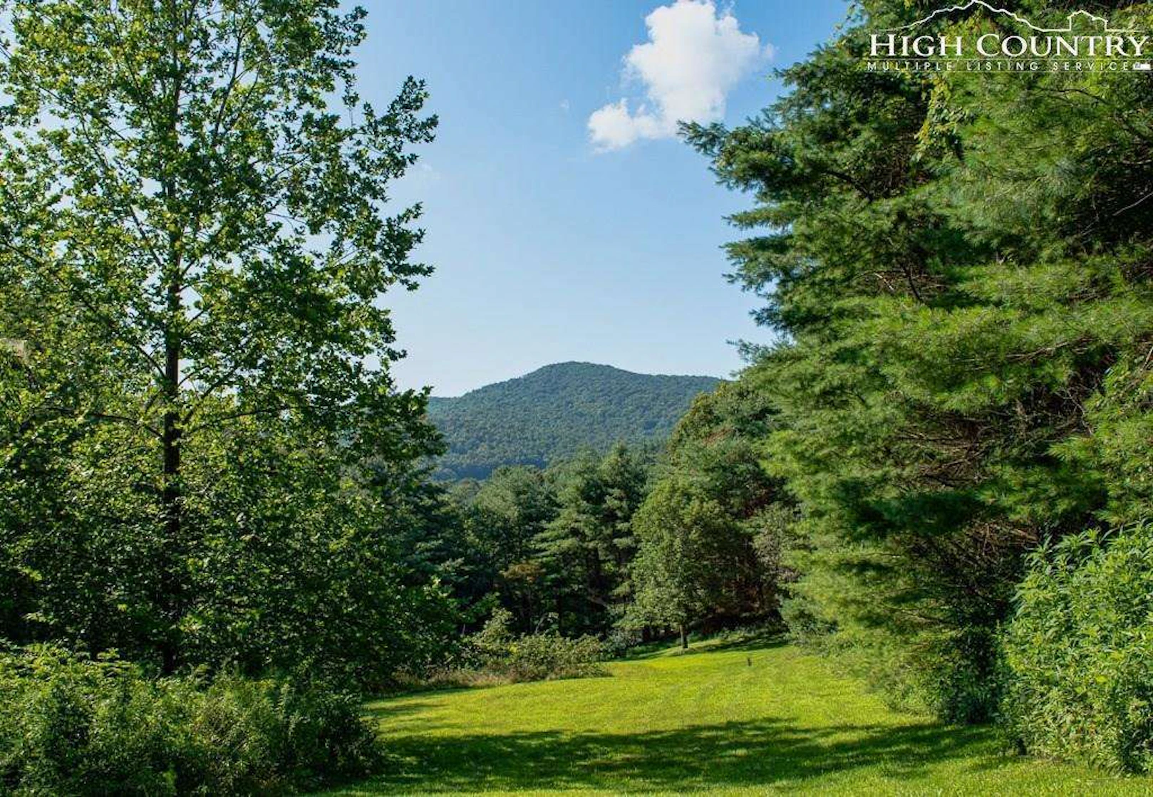 Image number 1 for the current listing