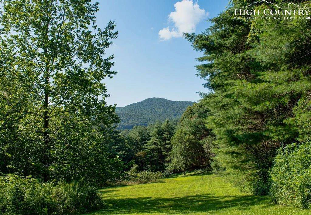 Image number 1 for the current listing