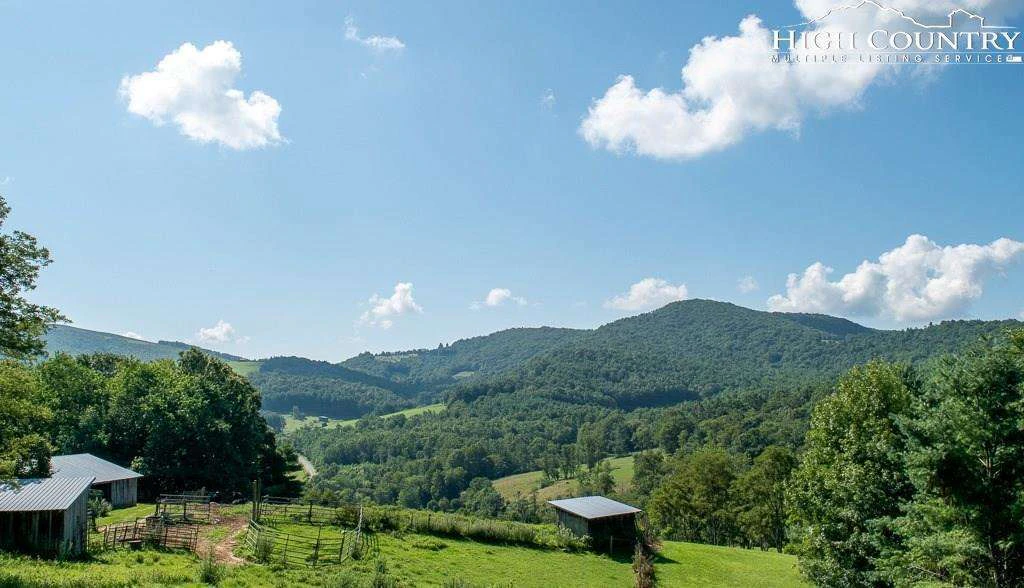 Image number 6 for the current listing