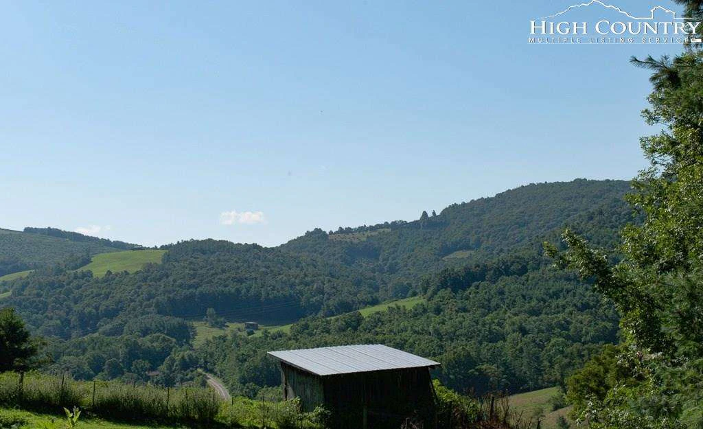 Image number 4 for the current listing