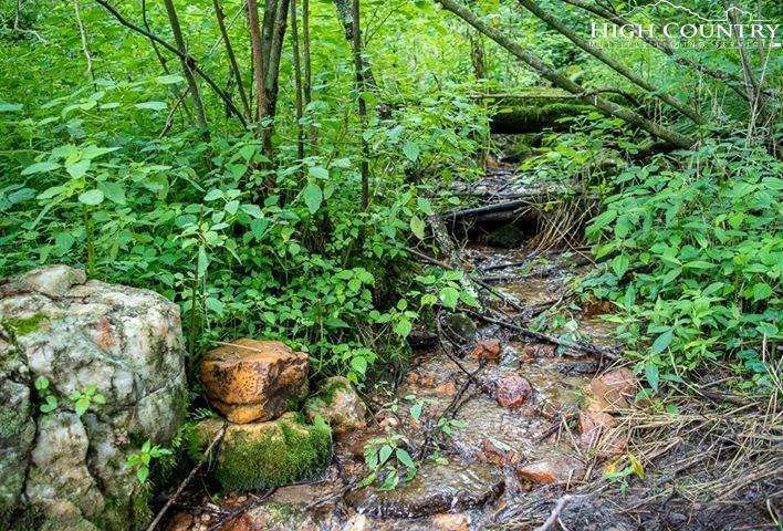 Image number 3 for the current listing