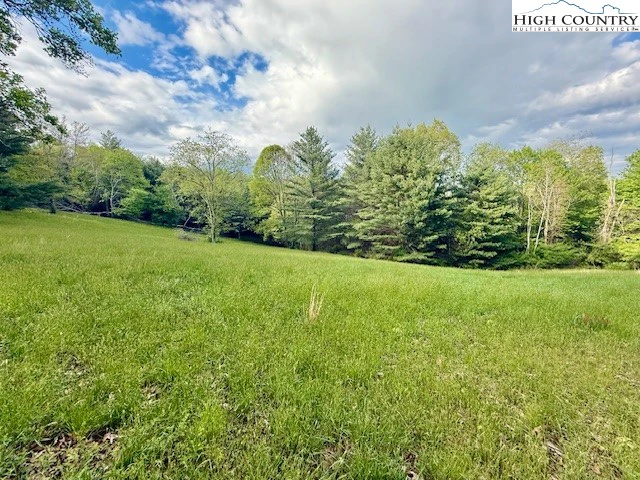 Image number 3 for the current listing