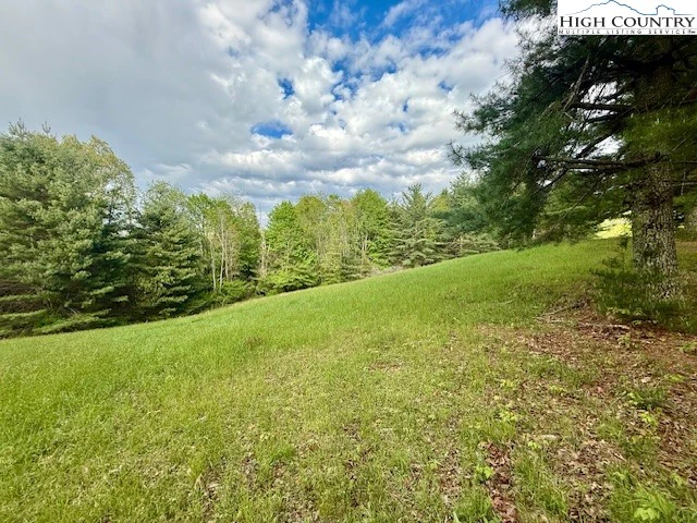 Image number 4 for the current listing