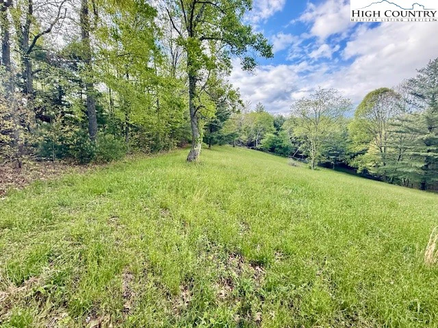 Image number 5 for the current listing