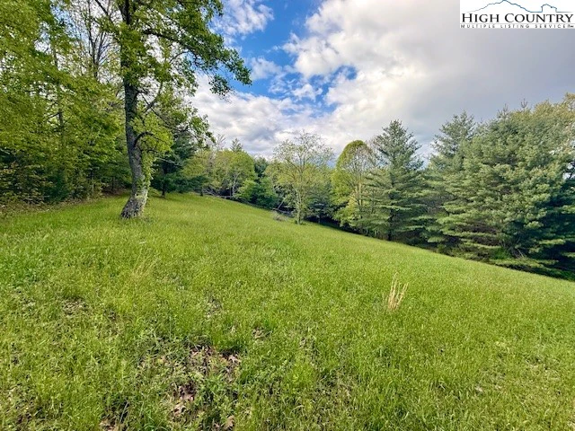 Image number 7 for the current listing