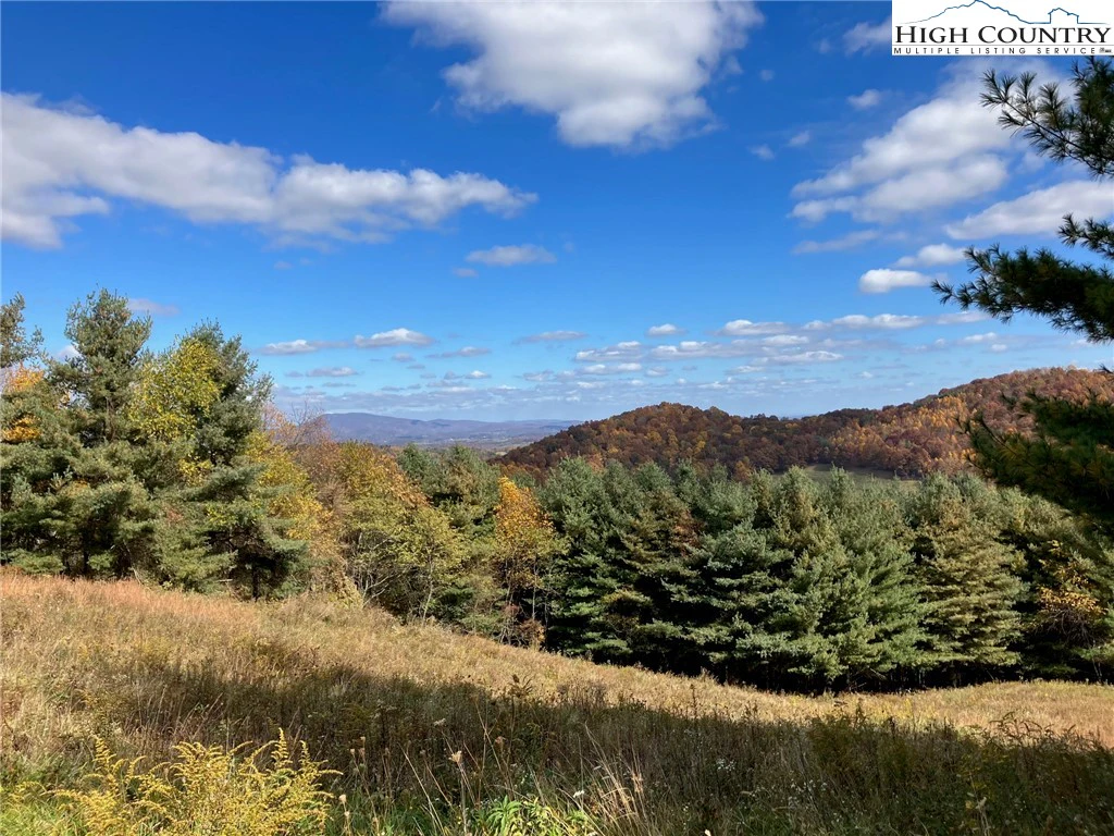 Image number 1 for the current listing
