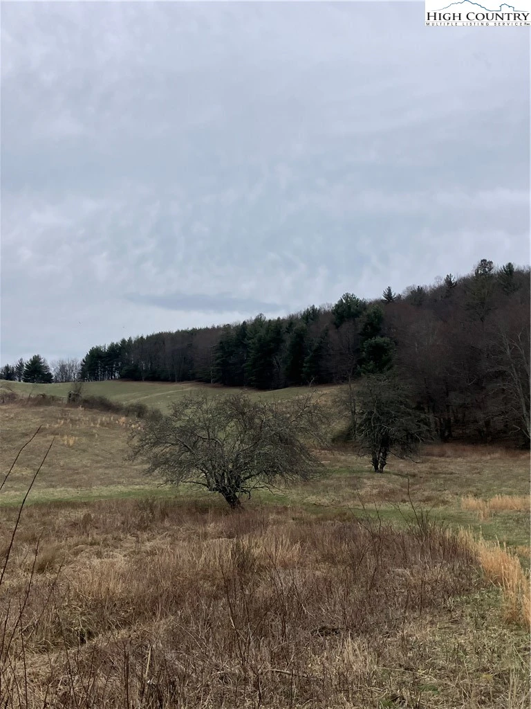 Image number 18 for the current listing