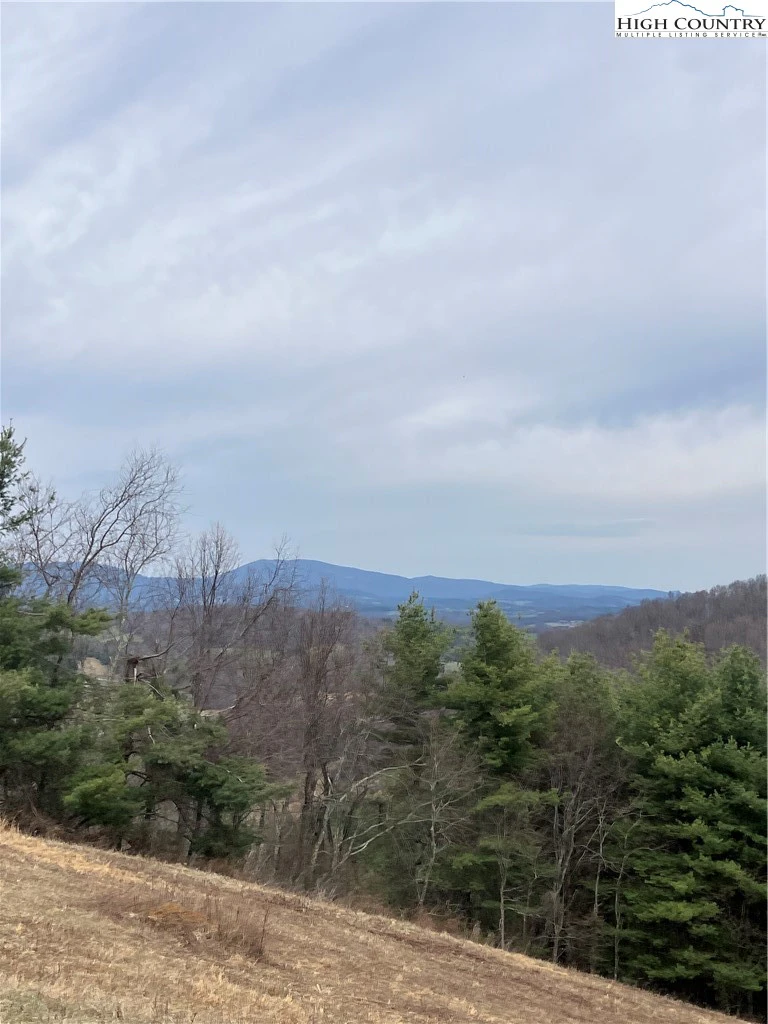 Image number 15 for the current listing