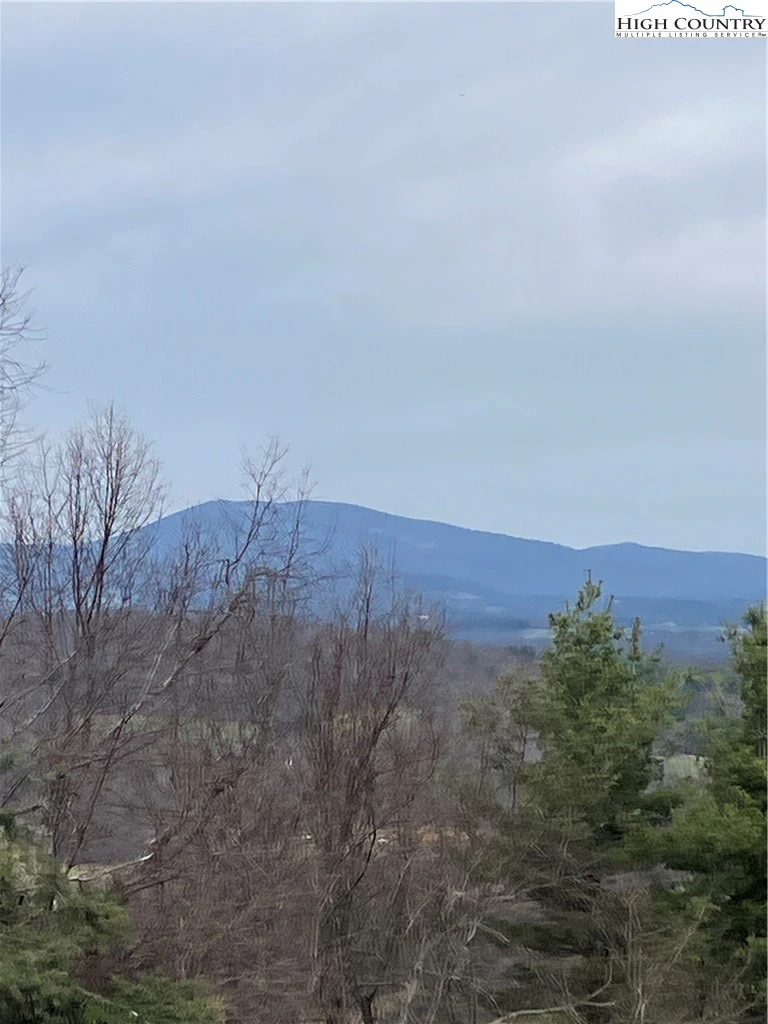 Image number 2 for the current listing
