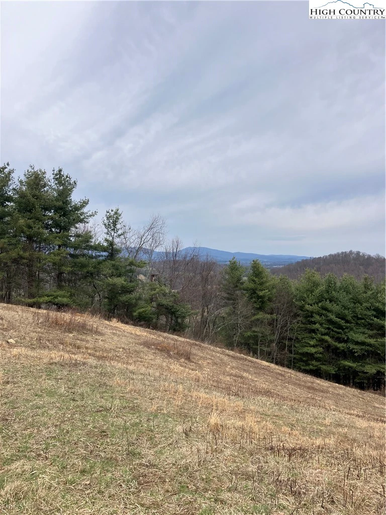 Image number 14 for the current listing