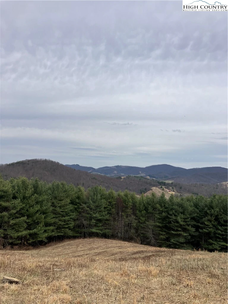 Image number 13 for the current listing