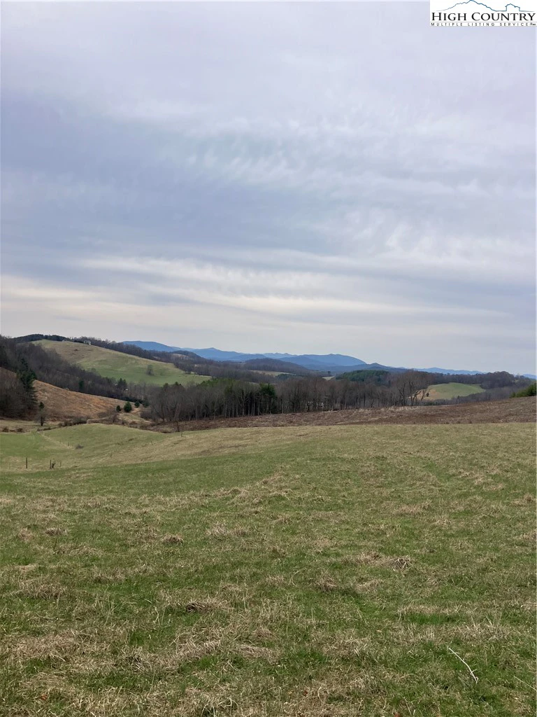 Image number 9 for the current listing
