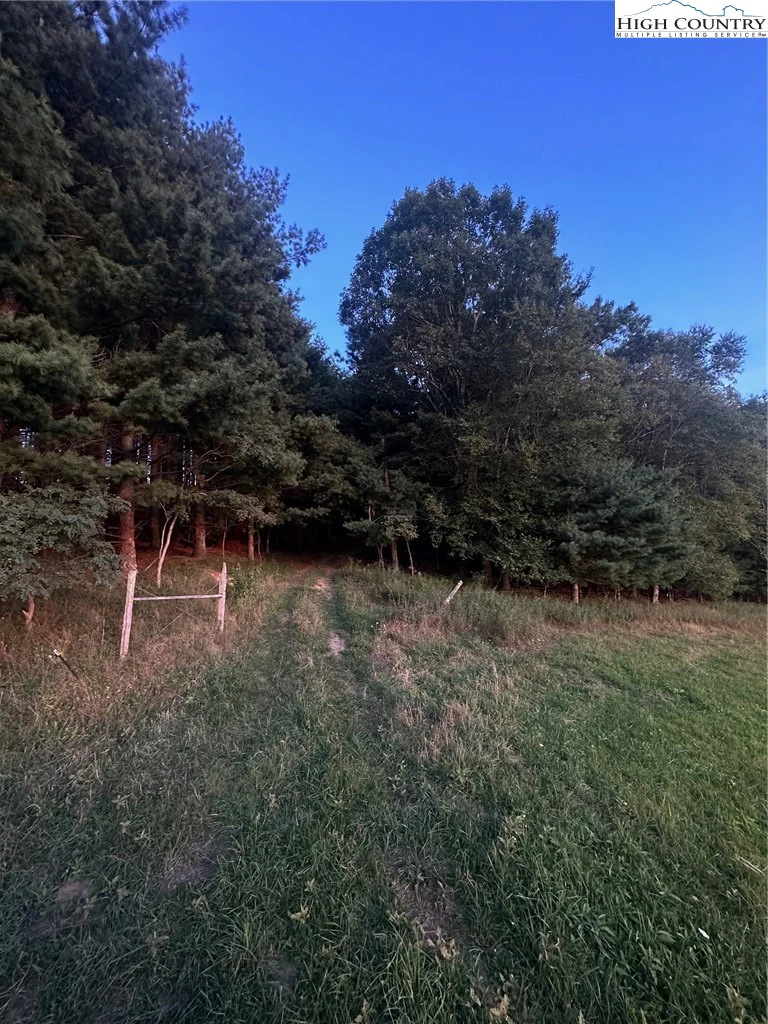 Image number 5 for the current listing