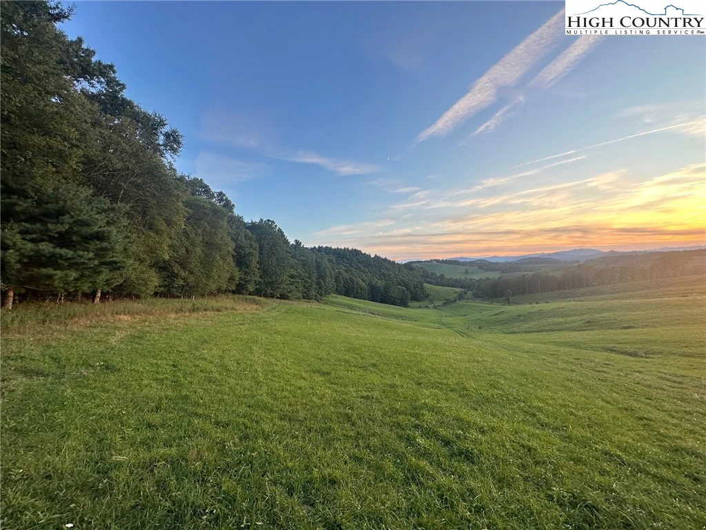 Image number 4 for the current listing