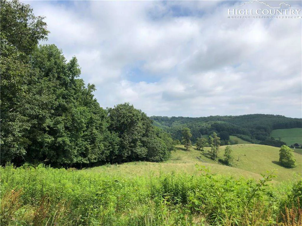 Image number 1 for the current listing