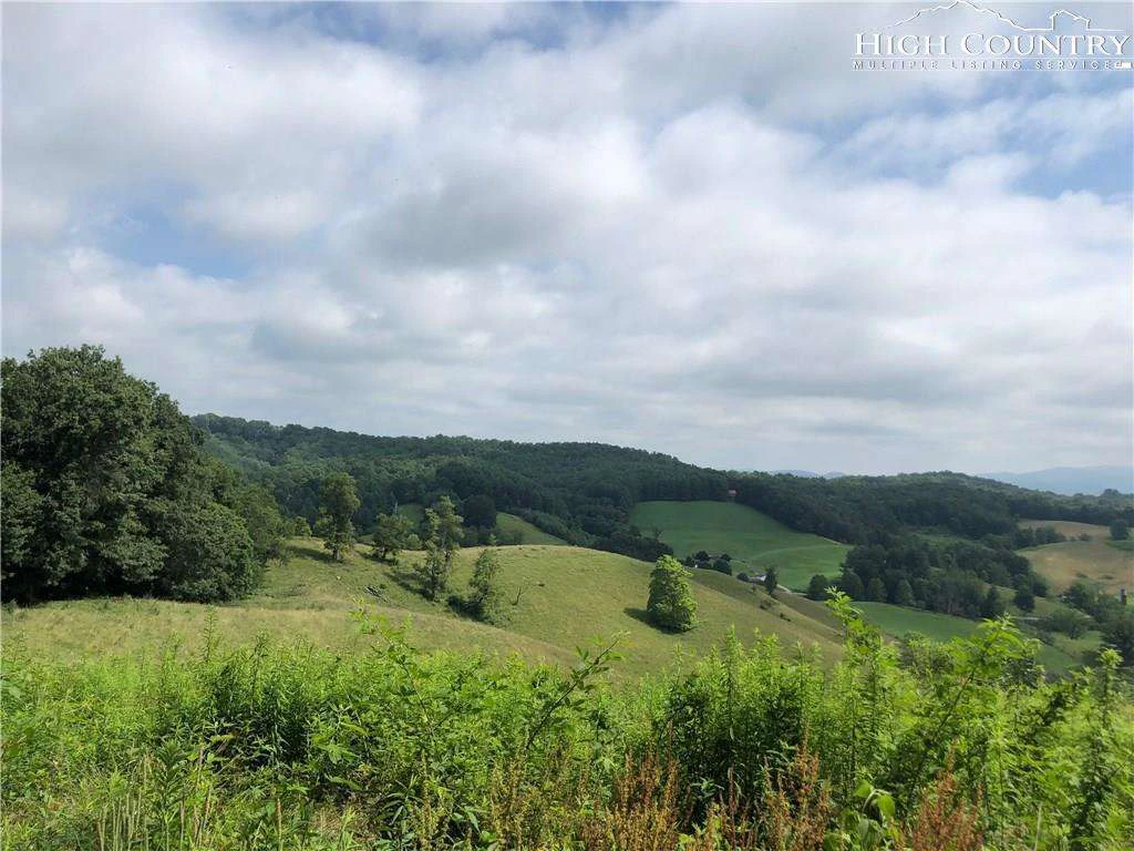 Image number 3 for the current listing