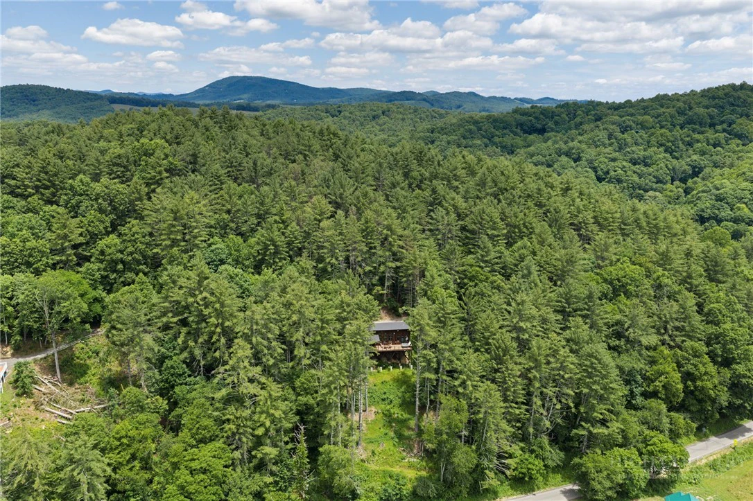 Image number 3 for the current listing