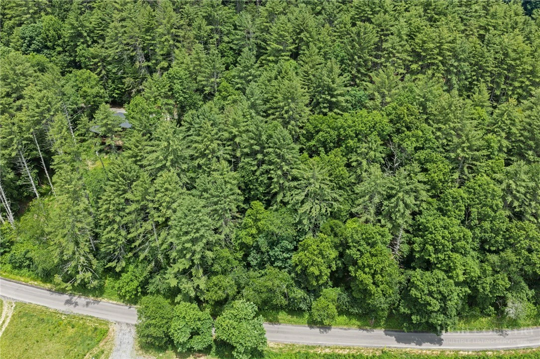 Image number 4 for the current listing