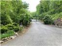 Image number 2 for the current listing