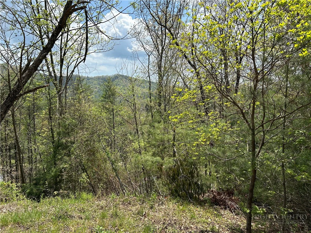 Image number 3 for the current listing