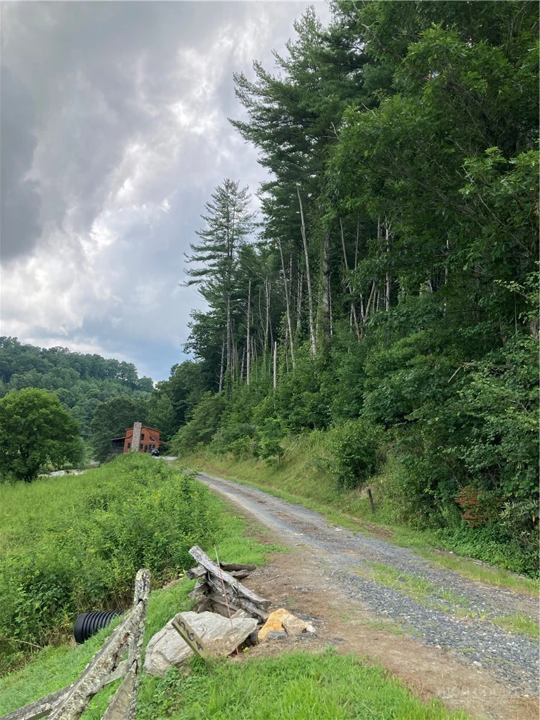 Image number 8 for the current listing