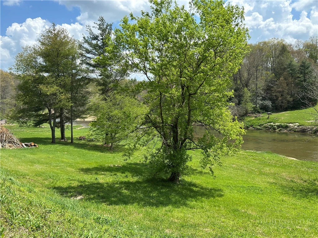 Image number 11 for the current listing