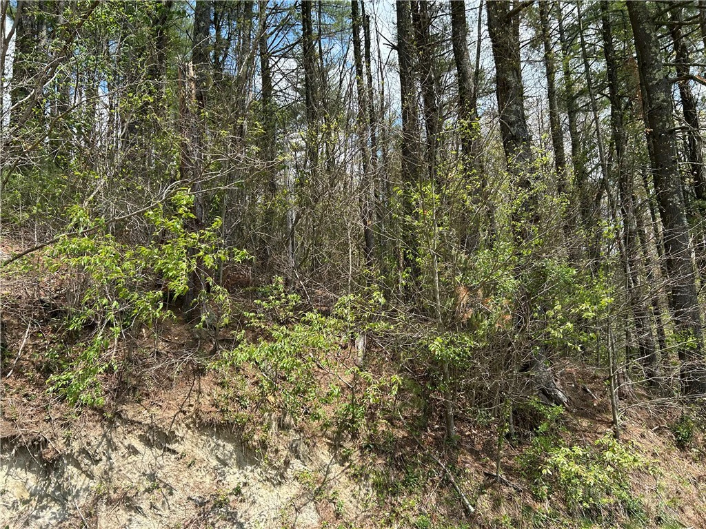 Image number 15 for the current listing