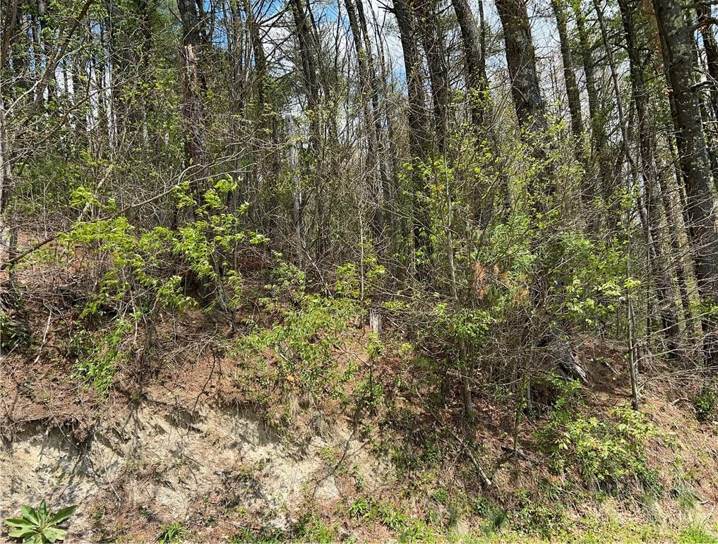Image number 16 for the current listing