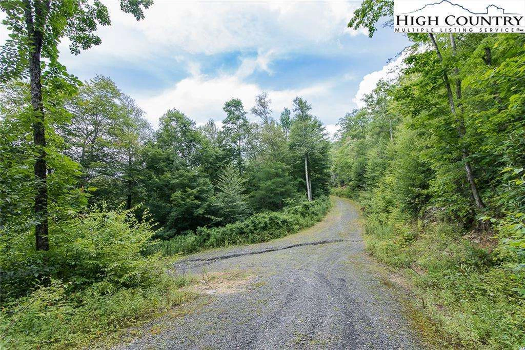 Image number 21 for the current listing