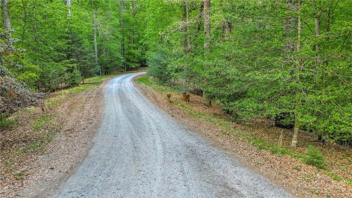 Image number 21 for the current listing