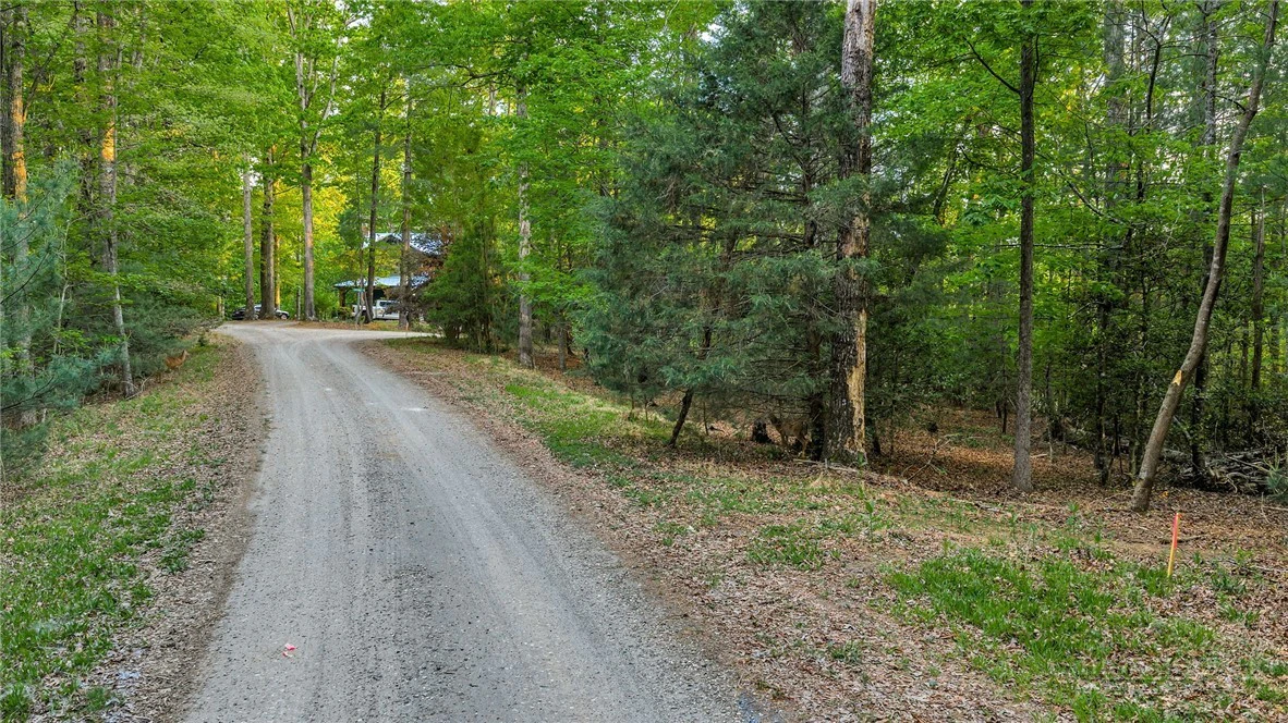 Image number 5 for the current listing